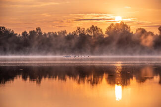 Szertefoszló hajnal