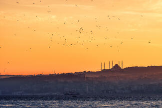 Sirályok a Boszporusz fölött 