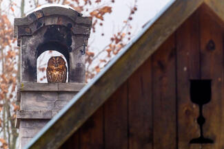 A Szent Kehely őrzője