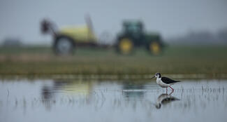 A traktor árnyékában