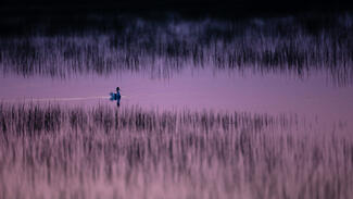 Alkonyat egy szikes tavon 