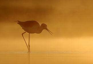 Köd előttem, köd mögöttem