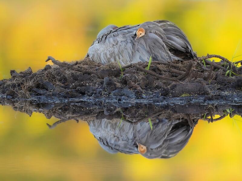 "Egyszerűen jó érzés kint lenni a természetben"  -  Interjú Robert Gloeckner zsűritaggal